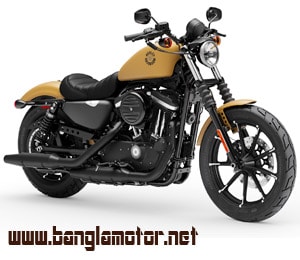 Harley Davidson Iron 883 2019