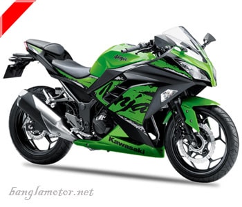 Kawasaki Ninja 300