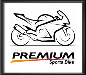 Premium Sports Bike