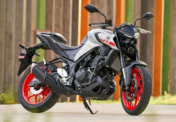 Yamaha MT 03 Authentic Image3